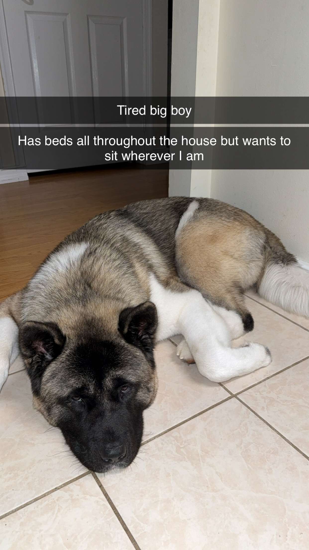 kayleedolisi snapchat image archive image