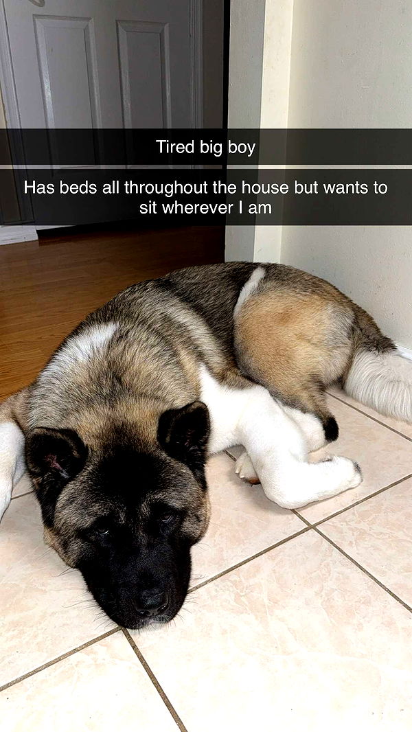 kayleedolisi image ~ Altpins