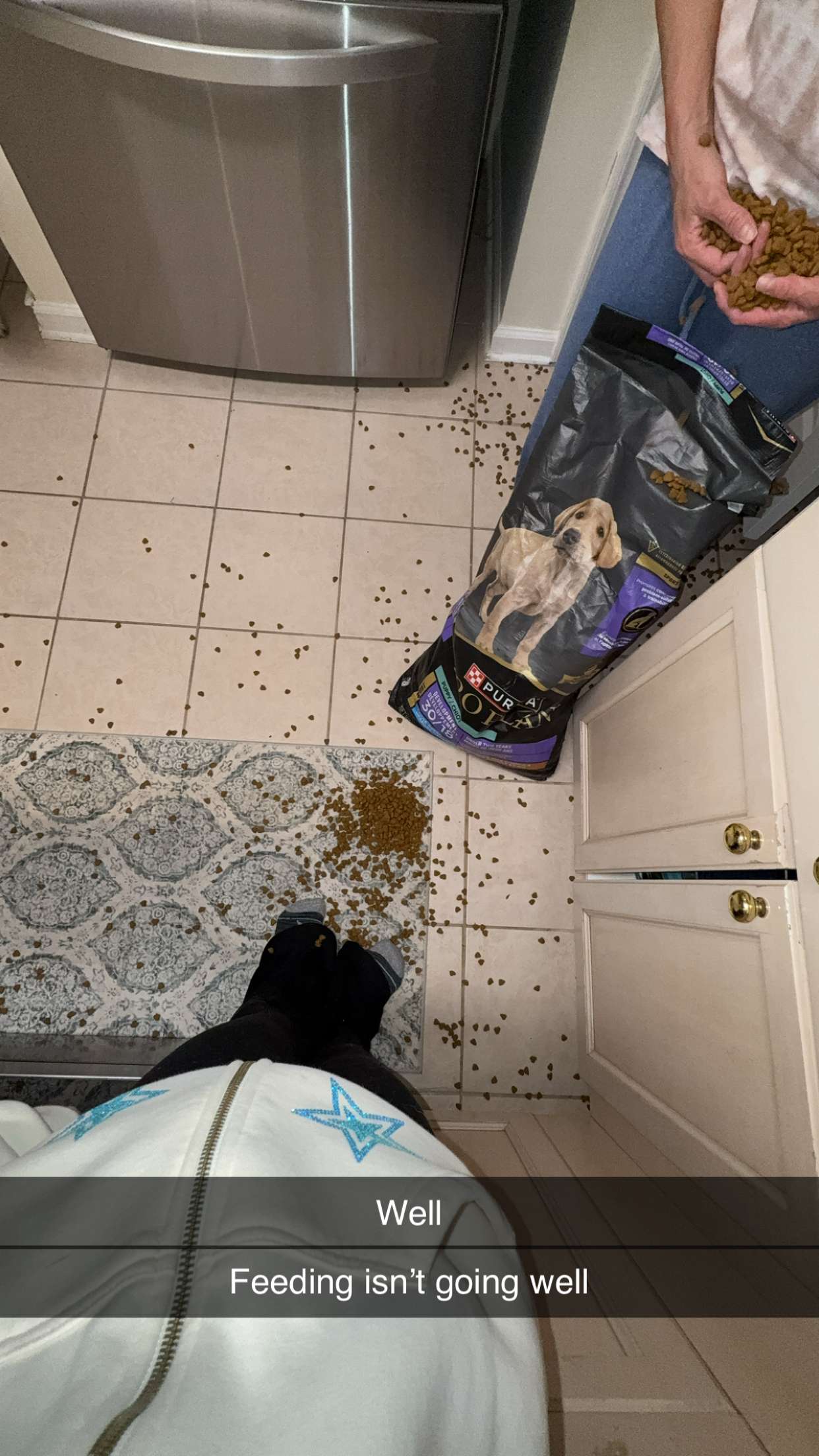 kayleedolisi snapchat image archive image