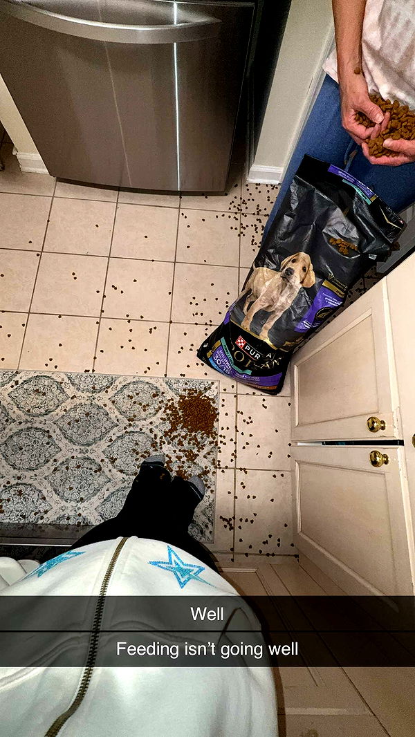 kayleedolisi image ~ Altpins