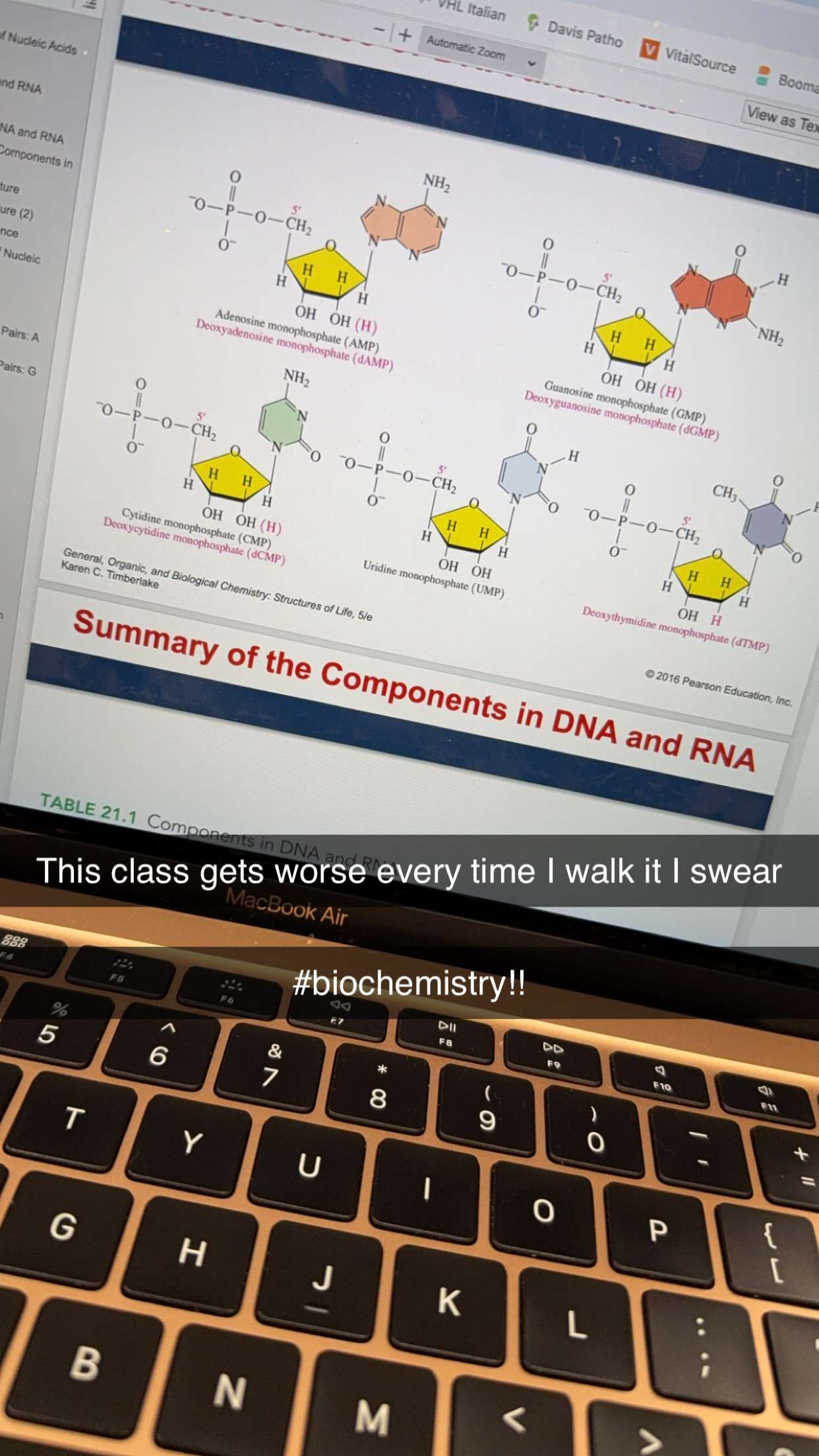 kayleedolisi snapchat image archive image