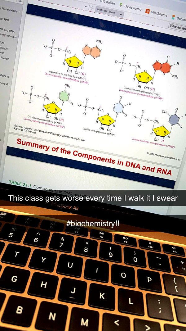 kayleedolisi image ~ Altpins