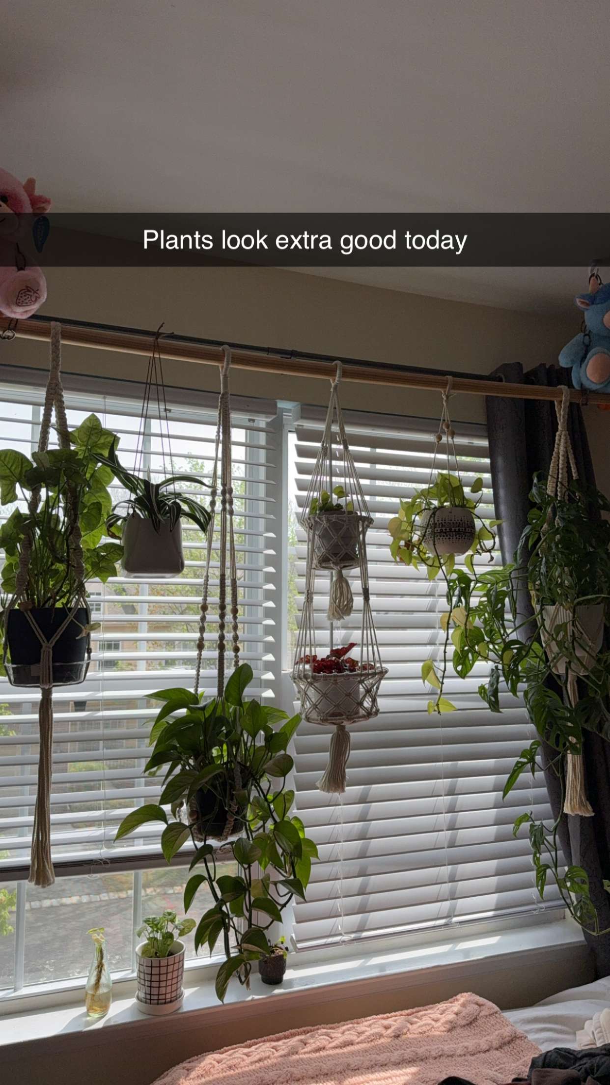 kayleedolisi snapchat image archive image