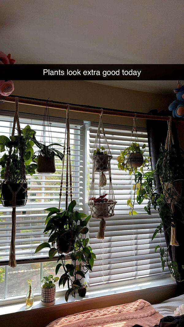 kayleedolisi image ~ Altpins