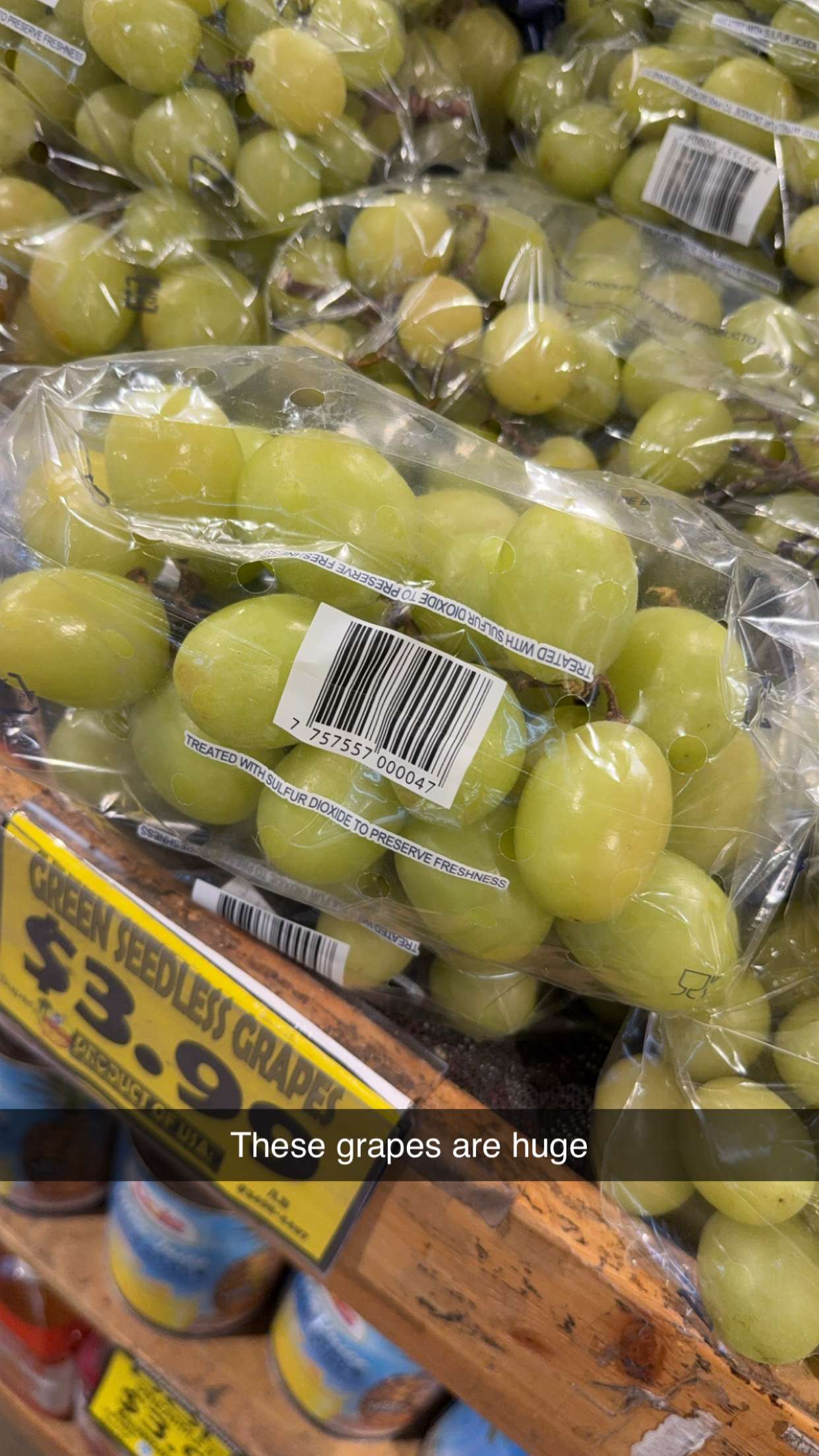 kayleedolisi snapchat image archive image