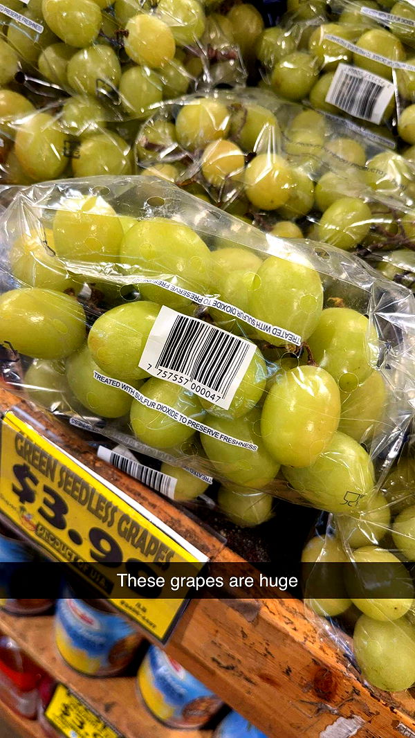 kayleedolisi image ~ Altpins