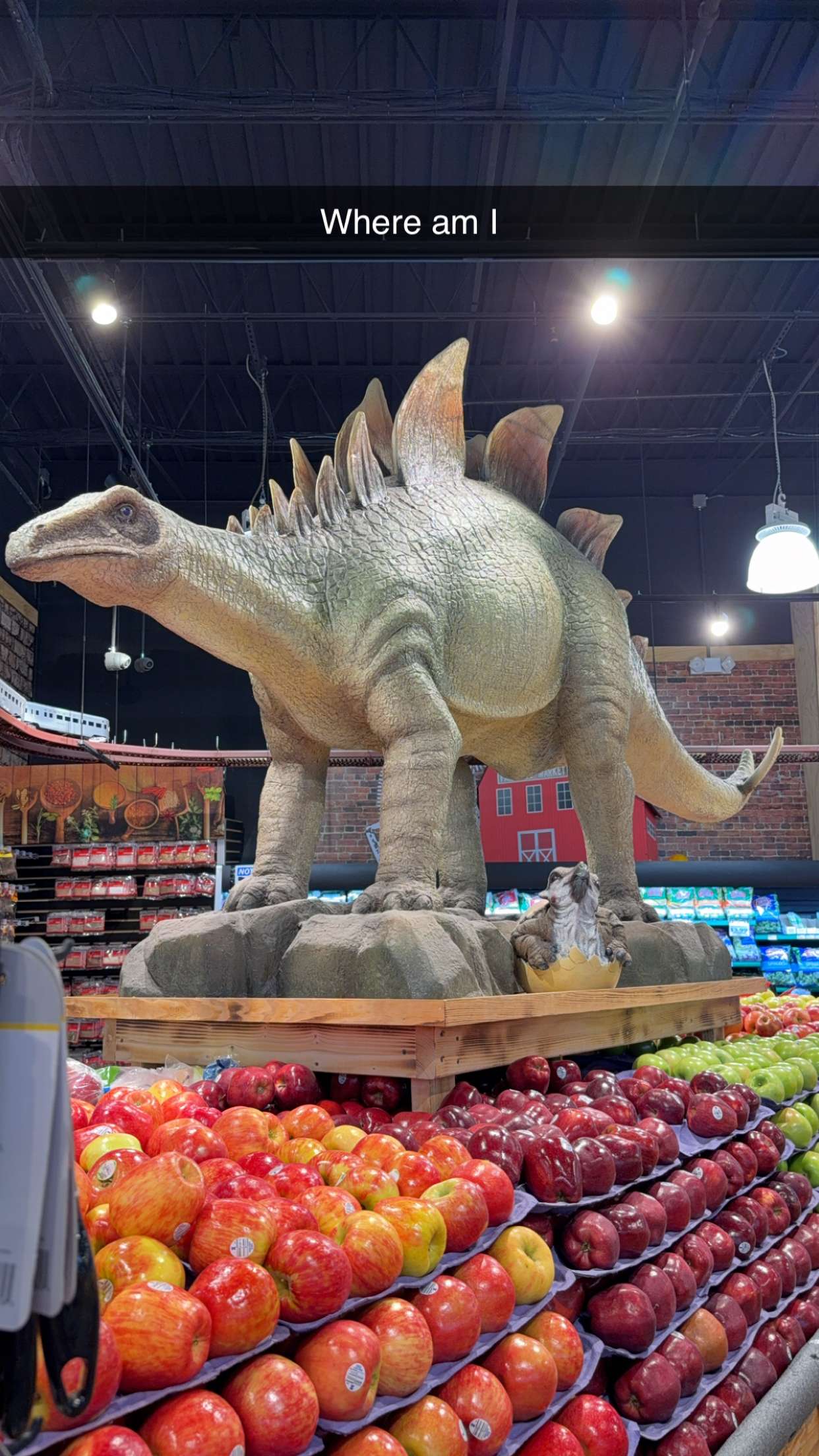 kayleedolisi snapchat image archive image