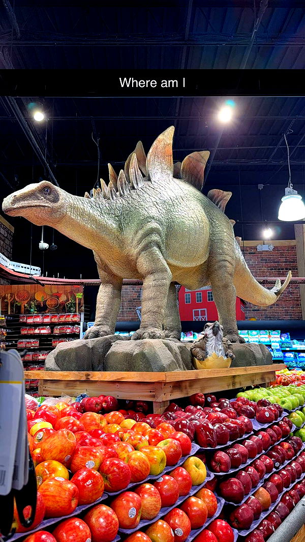 kayleedolisi image ~ Altpins