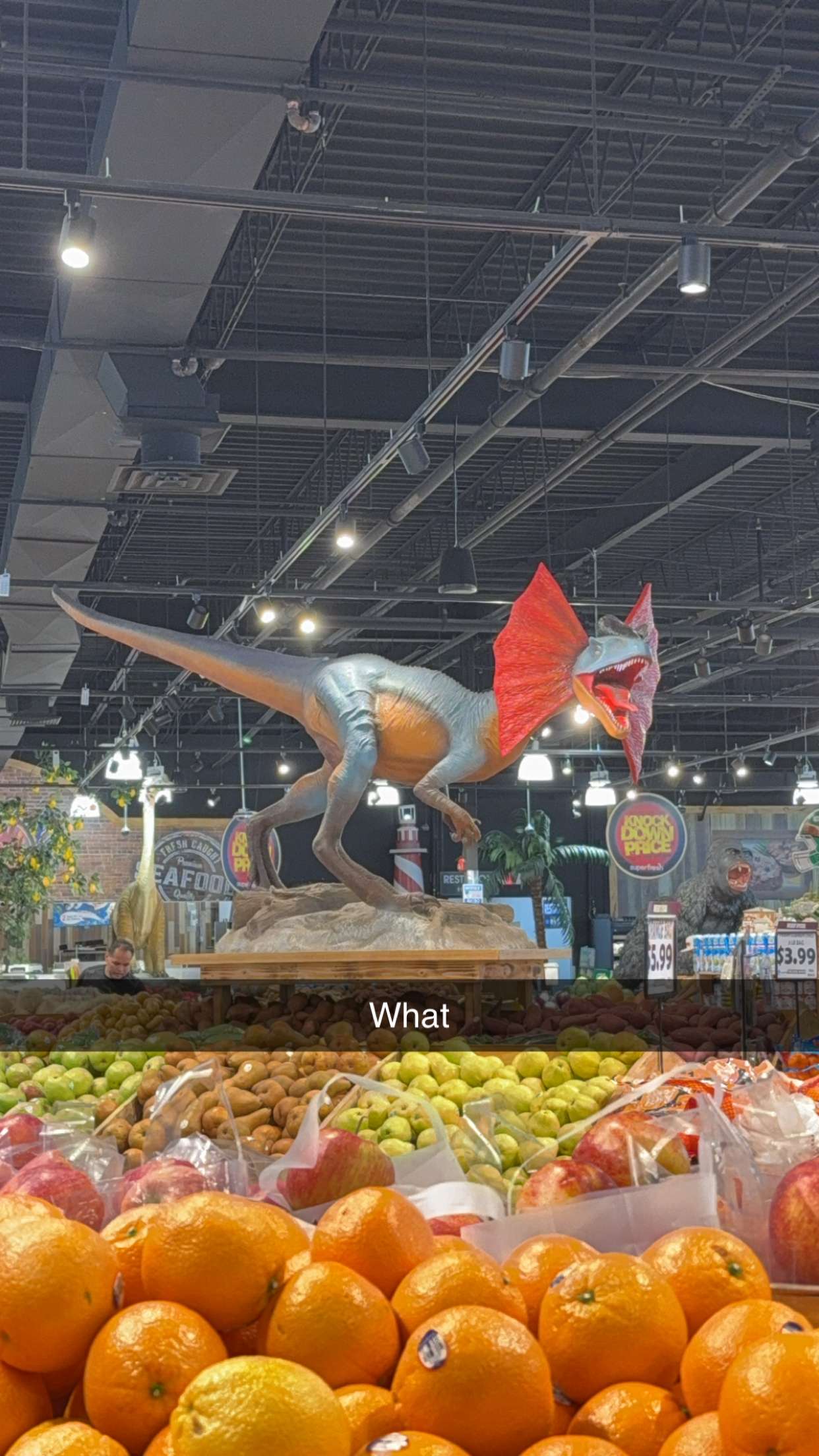 kayleedolisi snapchat image archive image