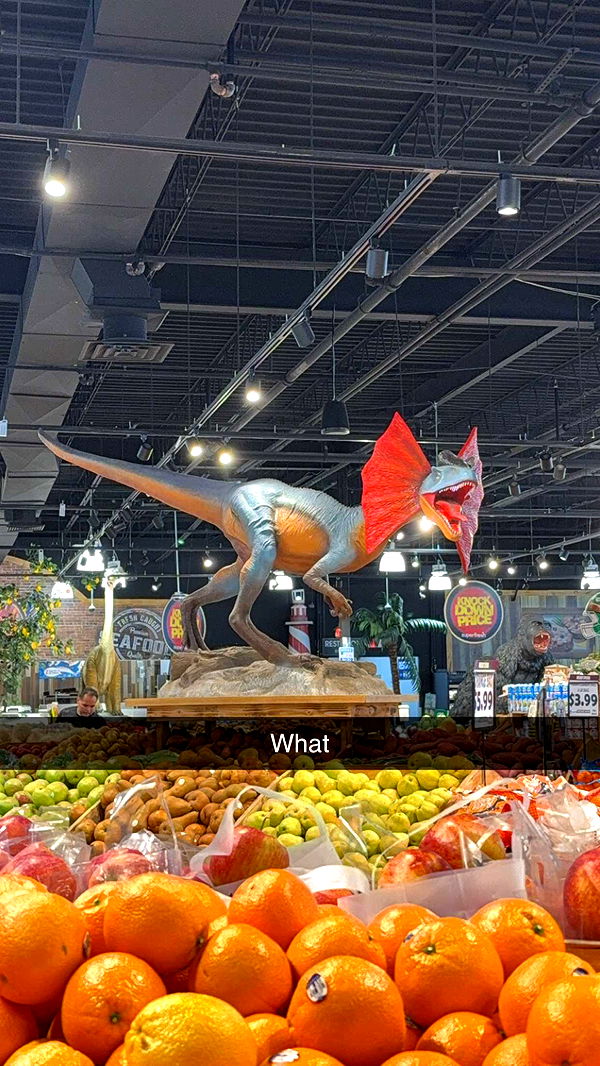 kayleedolisi image ~ Altpins