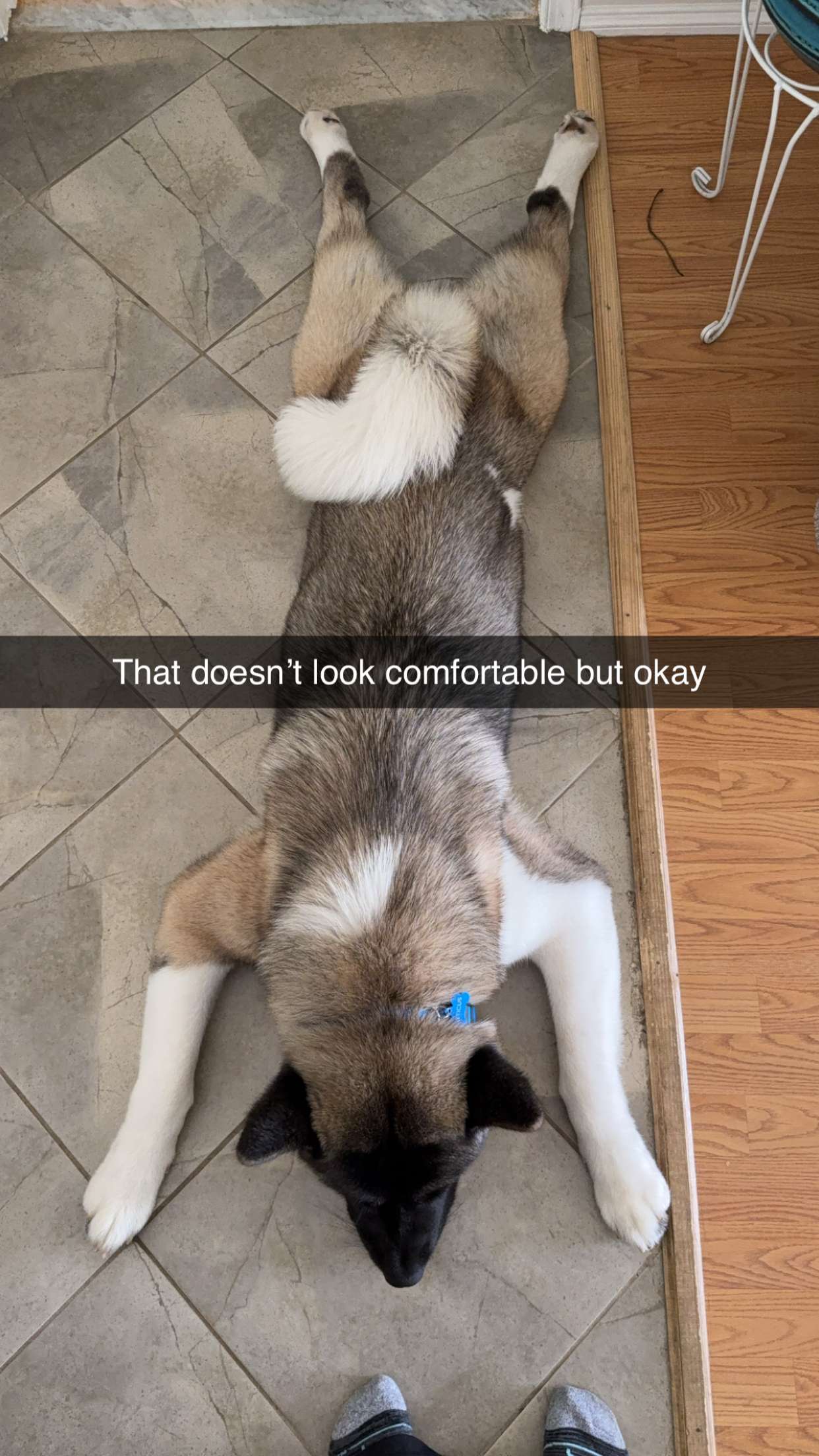 kayleedolisi snapchat image archive image