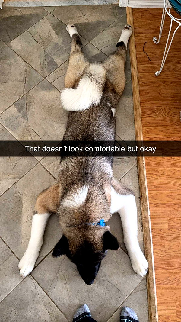 kayleedolisi image ~ Altpins