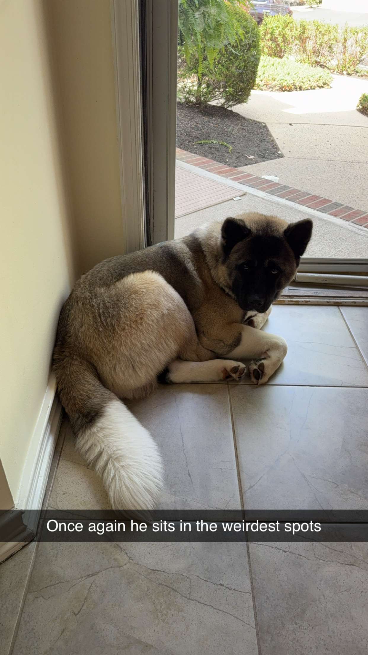 kayleedolisi snapchat image archive image