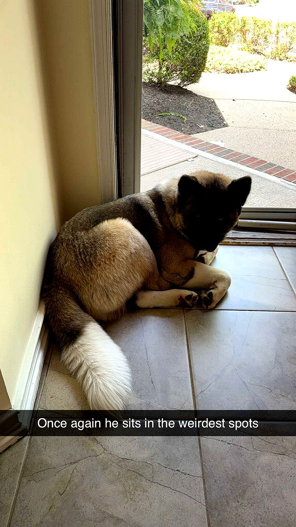 kayleedolisi image ~ Altpins