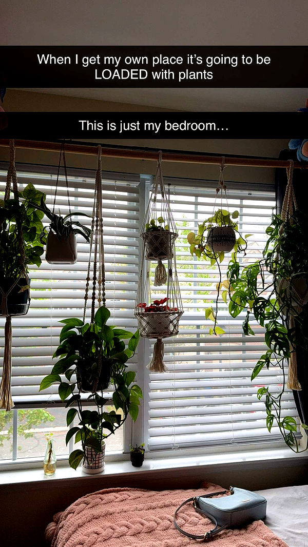 kayleedolisi image ~ Altpins