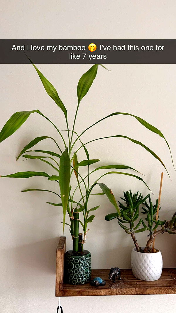 kayleedolisi image ~ Altpins