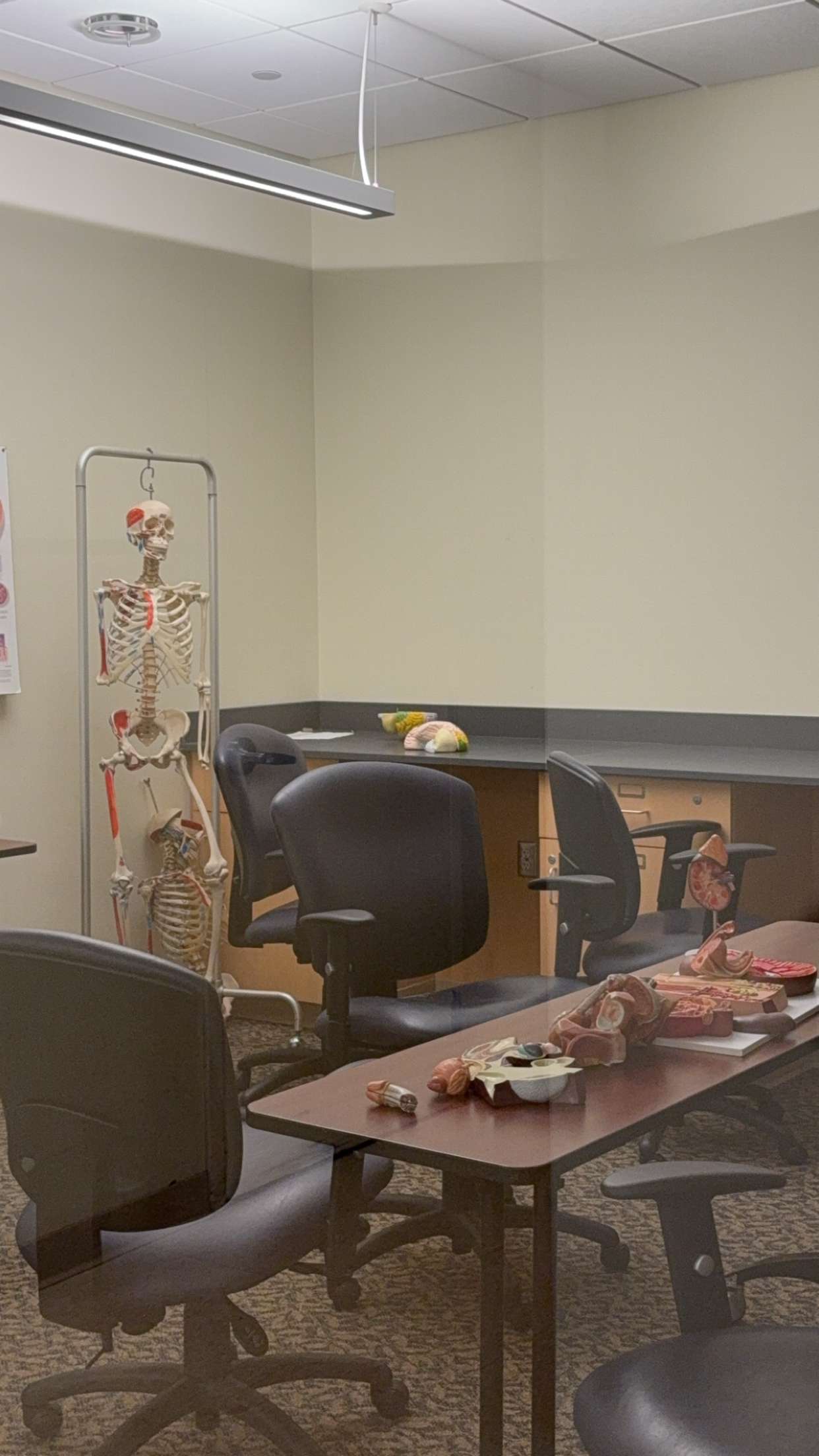 kayleedolisi snapchat image archive image