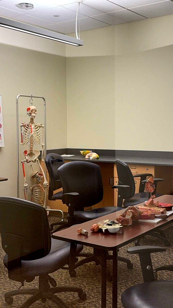 kayleedolisi image ~ Altpins