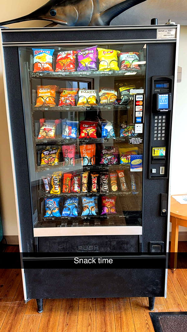 kayleedolisi image ~ Altpins