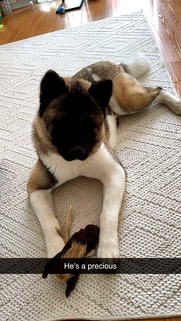 kayleedolisi image ~ Altpins