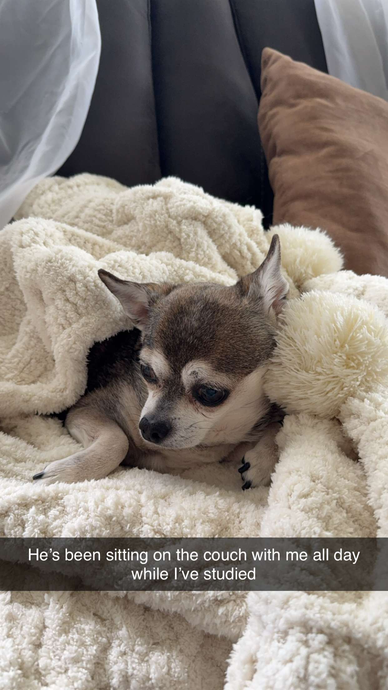 kayleedolisi snapchat image archive image