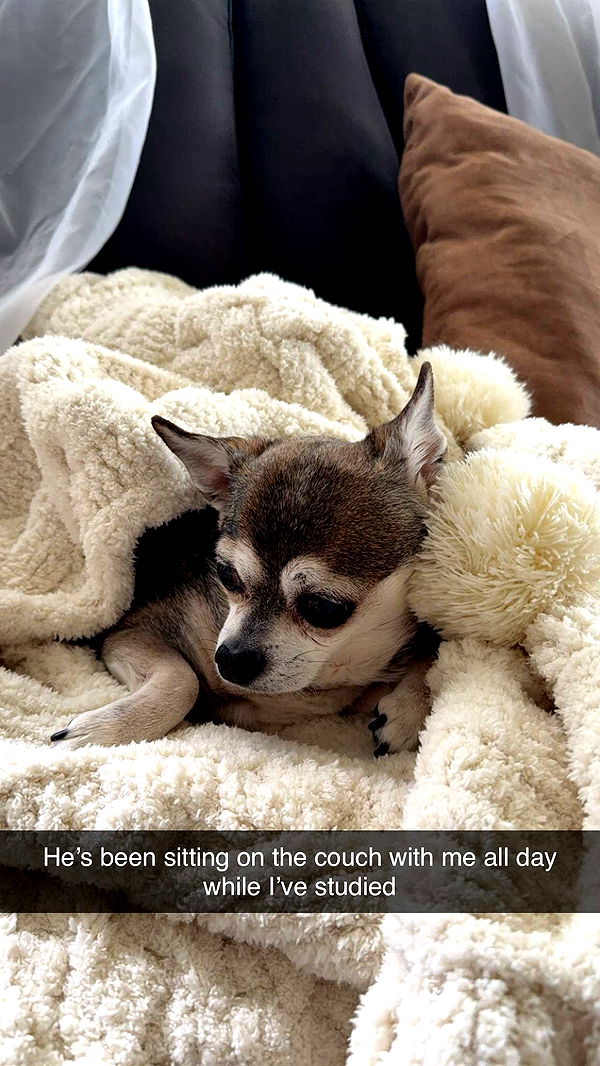 kayleedolisi image ~ Altpins