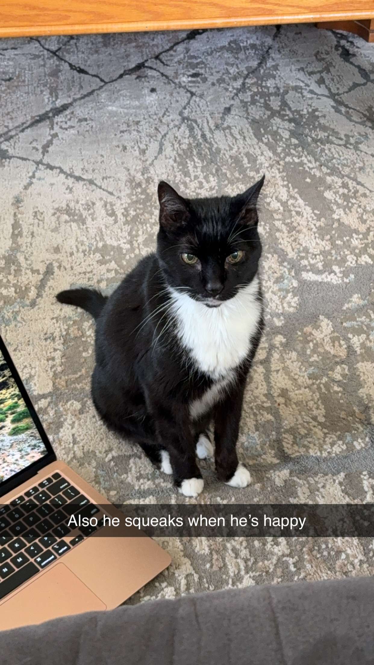 kayleedolisi snapchat image archive image