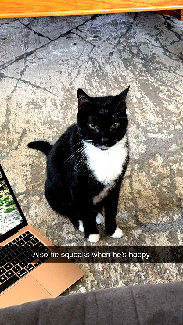 kayleedolisi image ~ Altpins