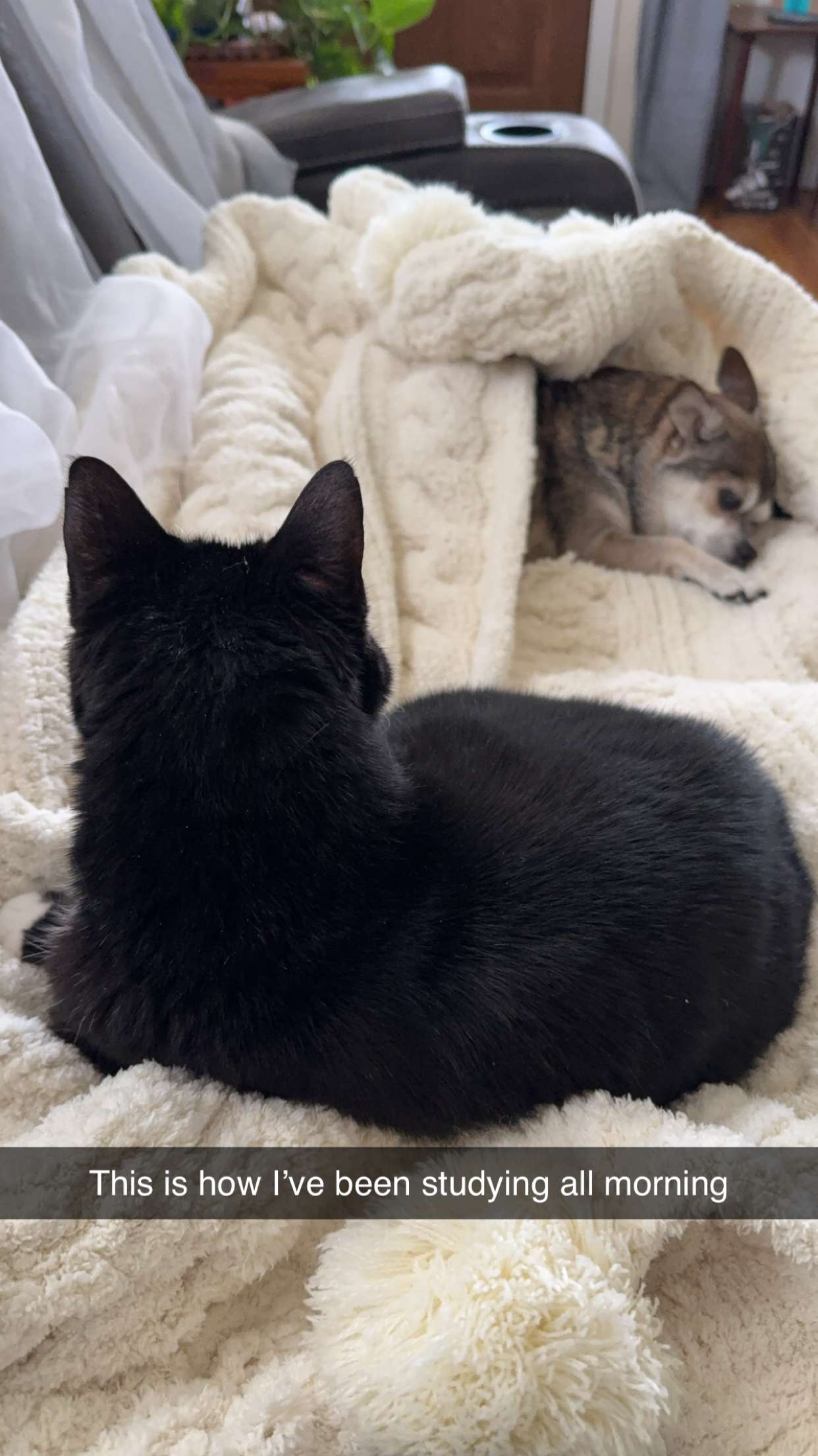 kayleedolisi snapchat image archive image