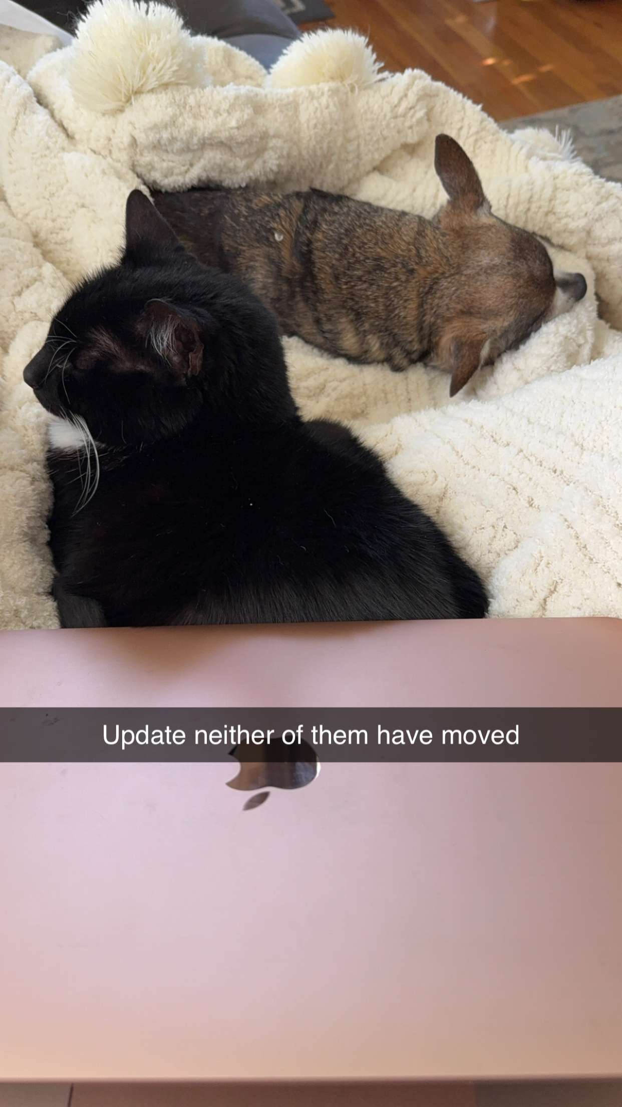 kayleedolisi snapchat image archive image