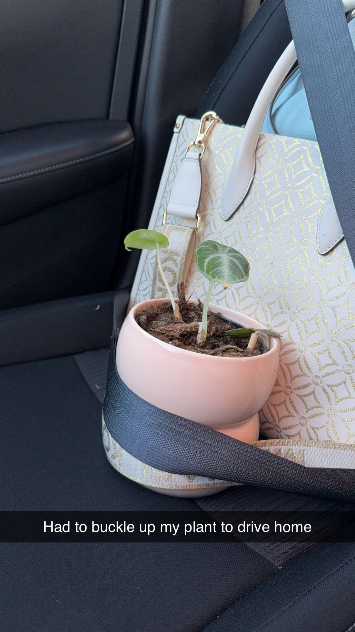 kayleedolisi snapchat image archive image