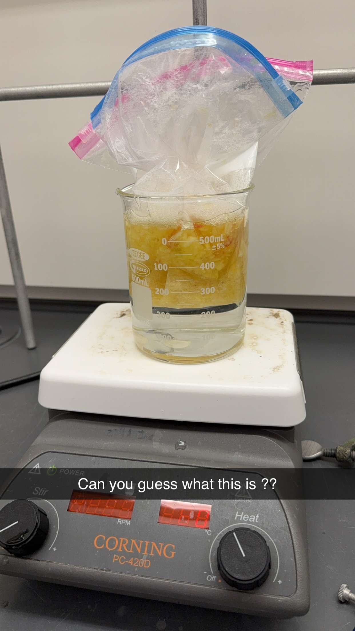 kayleedolisi snapchat image archive image