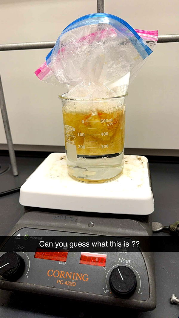 kayleedolisi image ~ Altpins