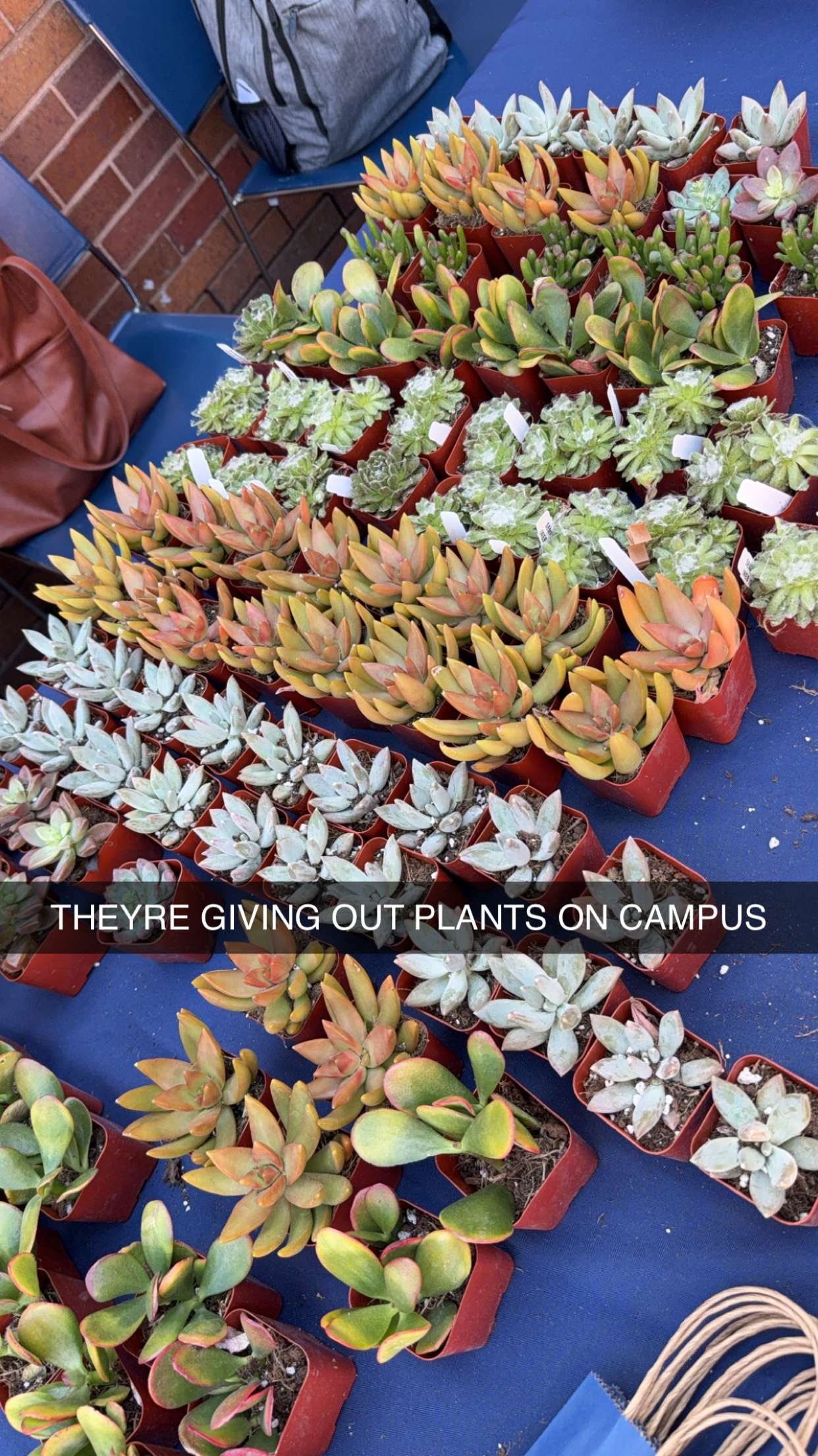 kayleedolisi snapchat image archive image