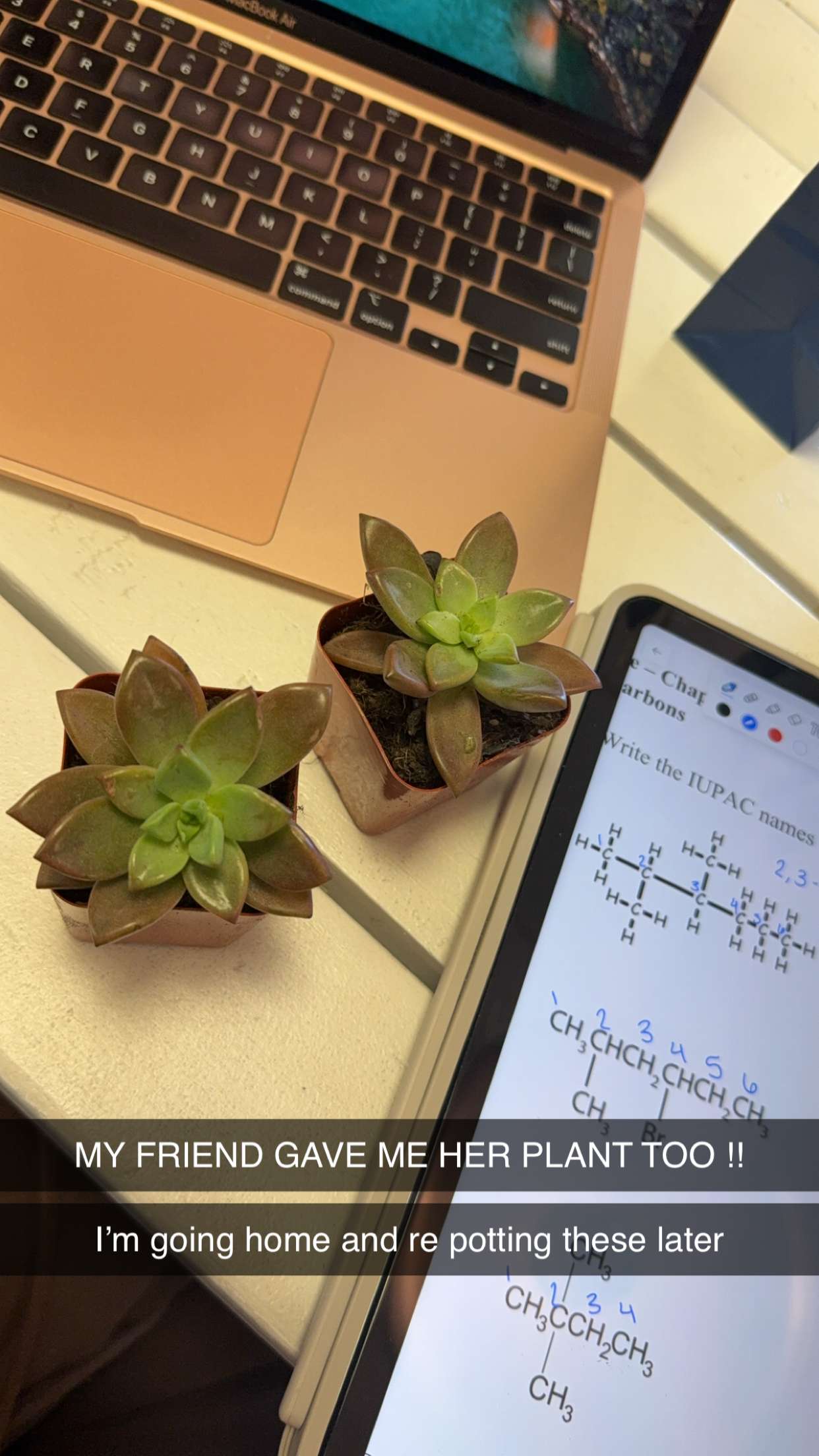 kayleedolisi snapchat image archive image