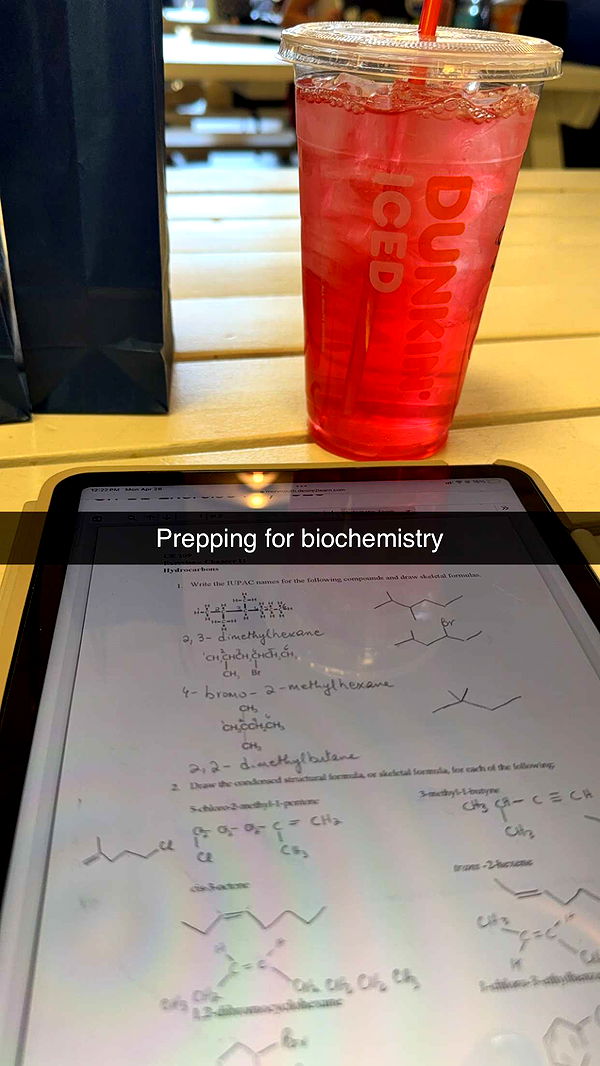 kayleedolisi image ~ Altpins