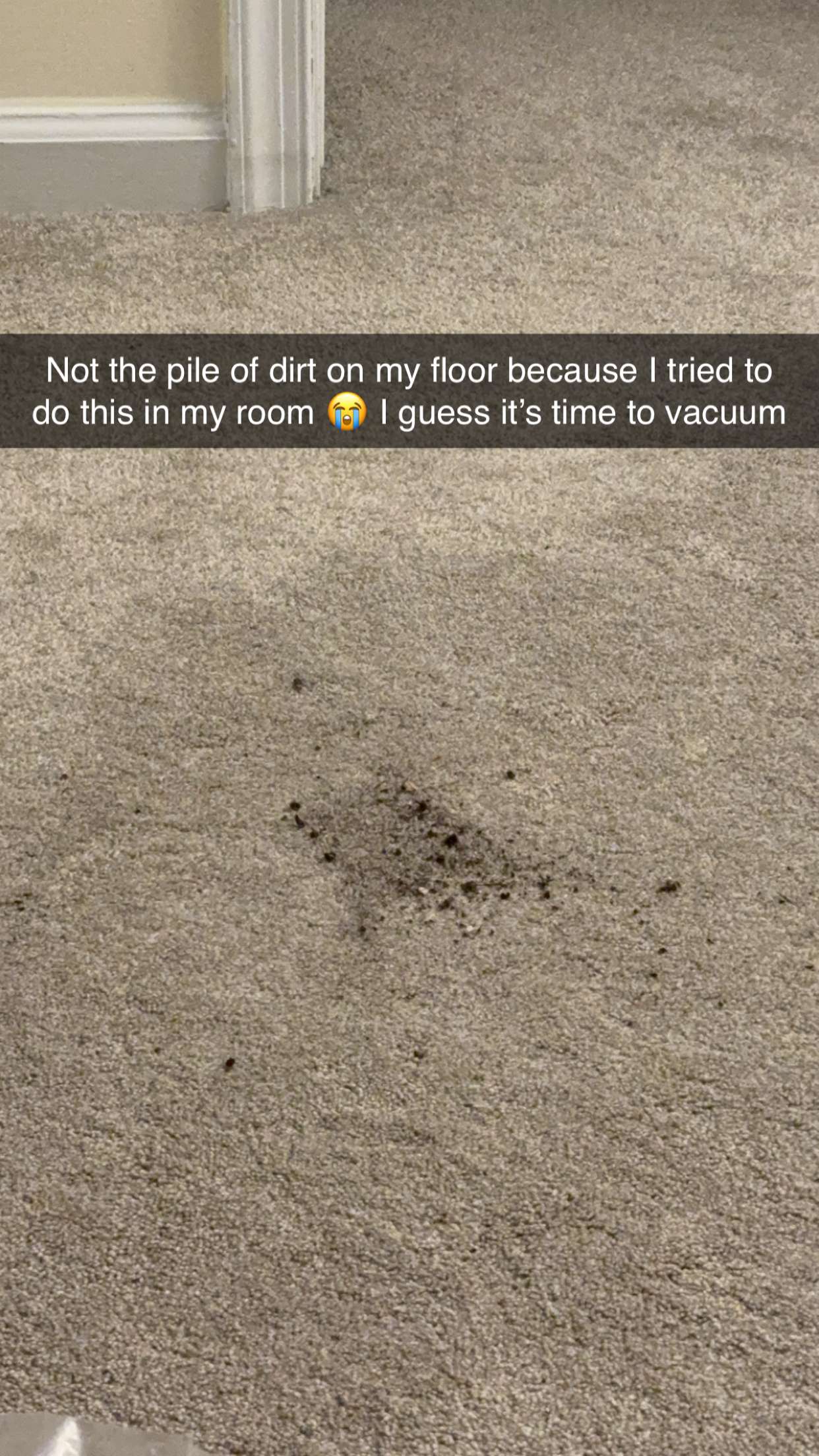 kayleedolisi snapchat image archive image