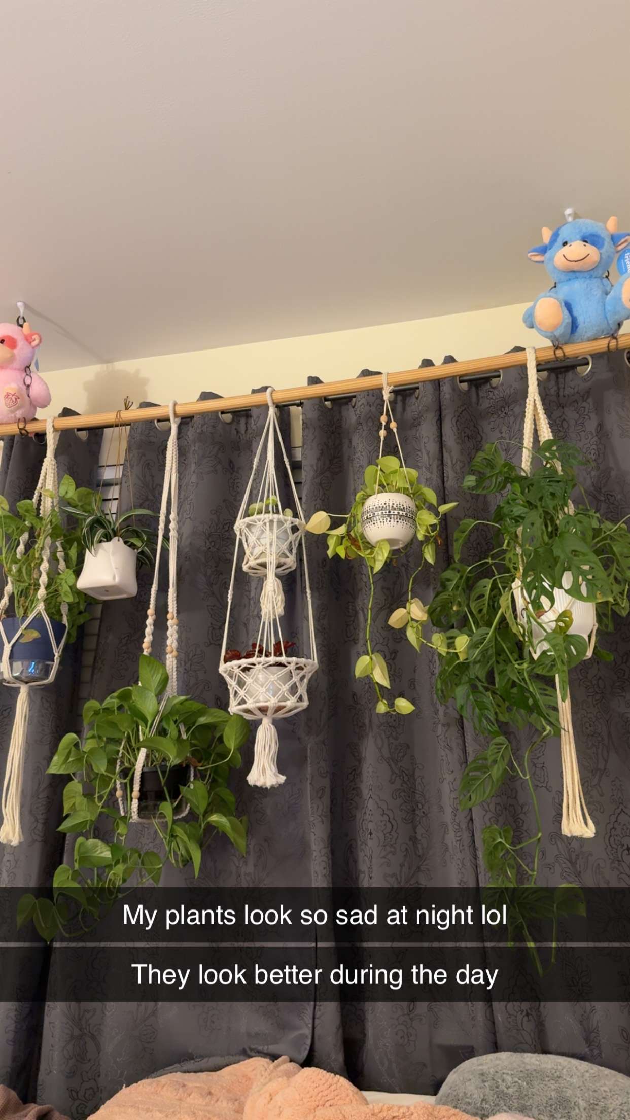 kayleedolisi snapchat image archive image