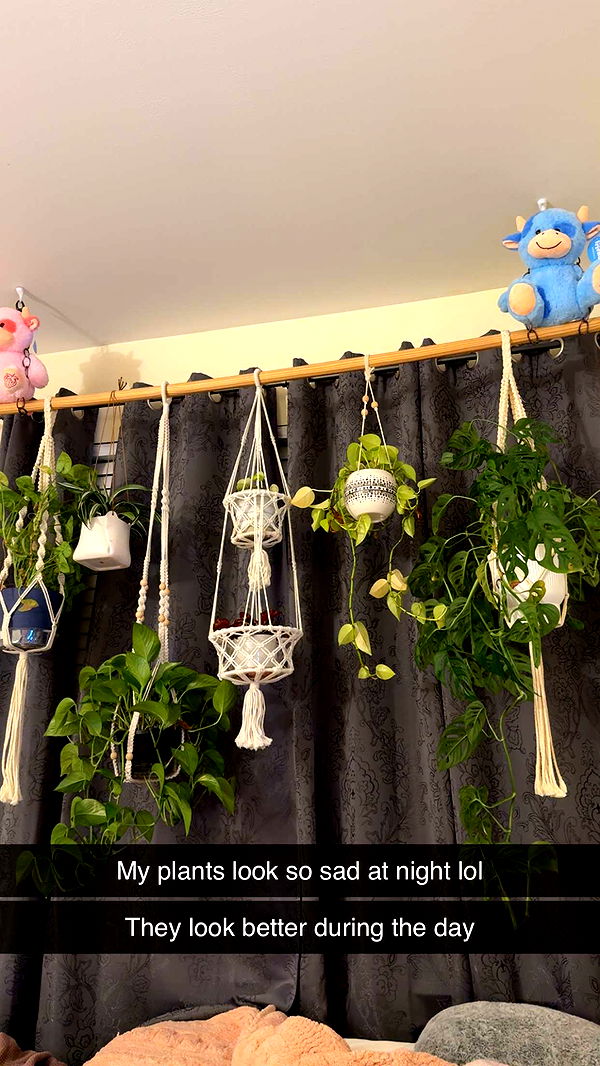 kayleedolisi image ~ Altpins