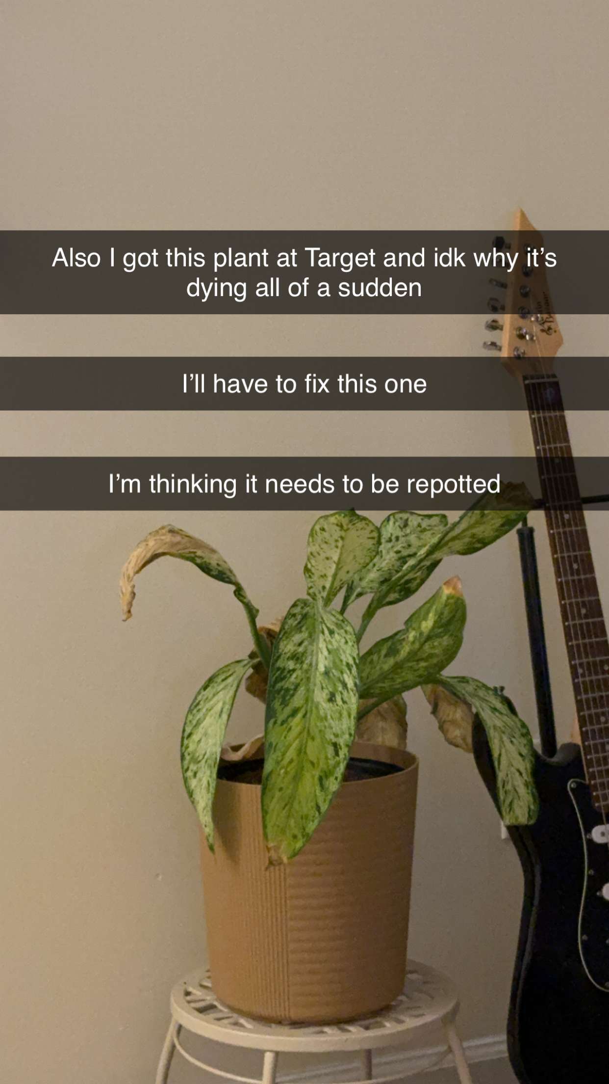 kayleedolisi snapchat image archive image