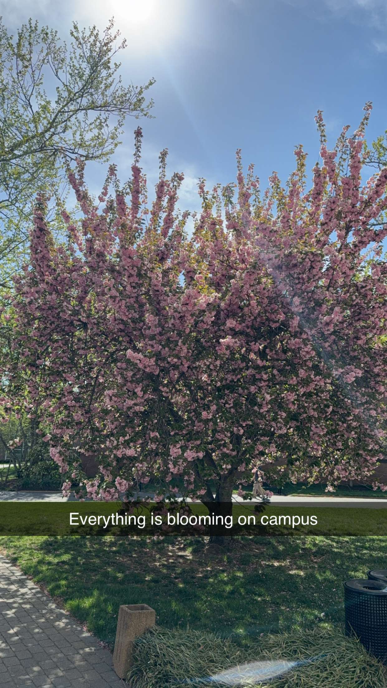 kayleedolisi snapchat image archive image