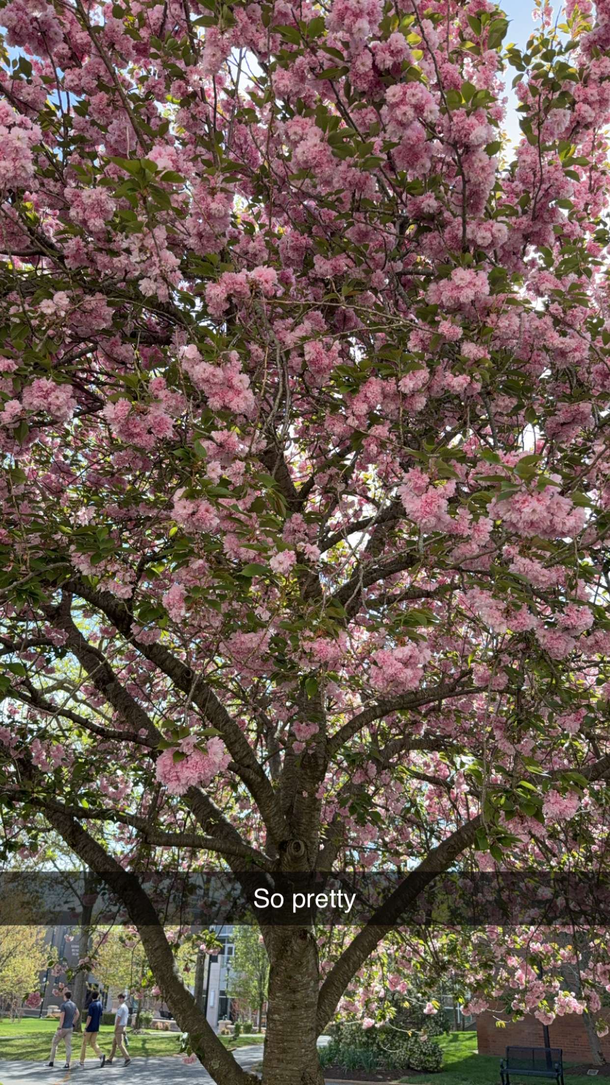 kayleedolisi snapchat image archive image