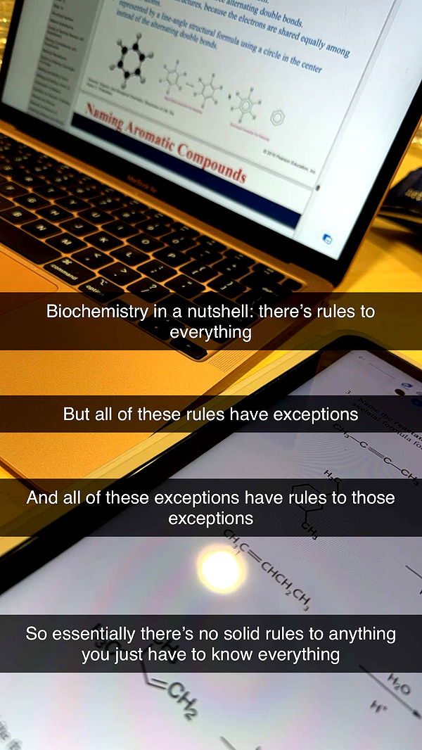 kayleedolisi image ~ Altpins