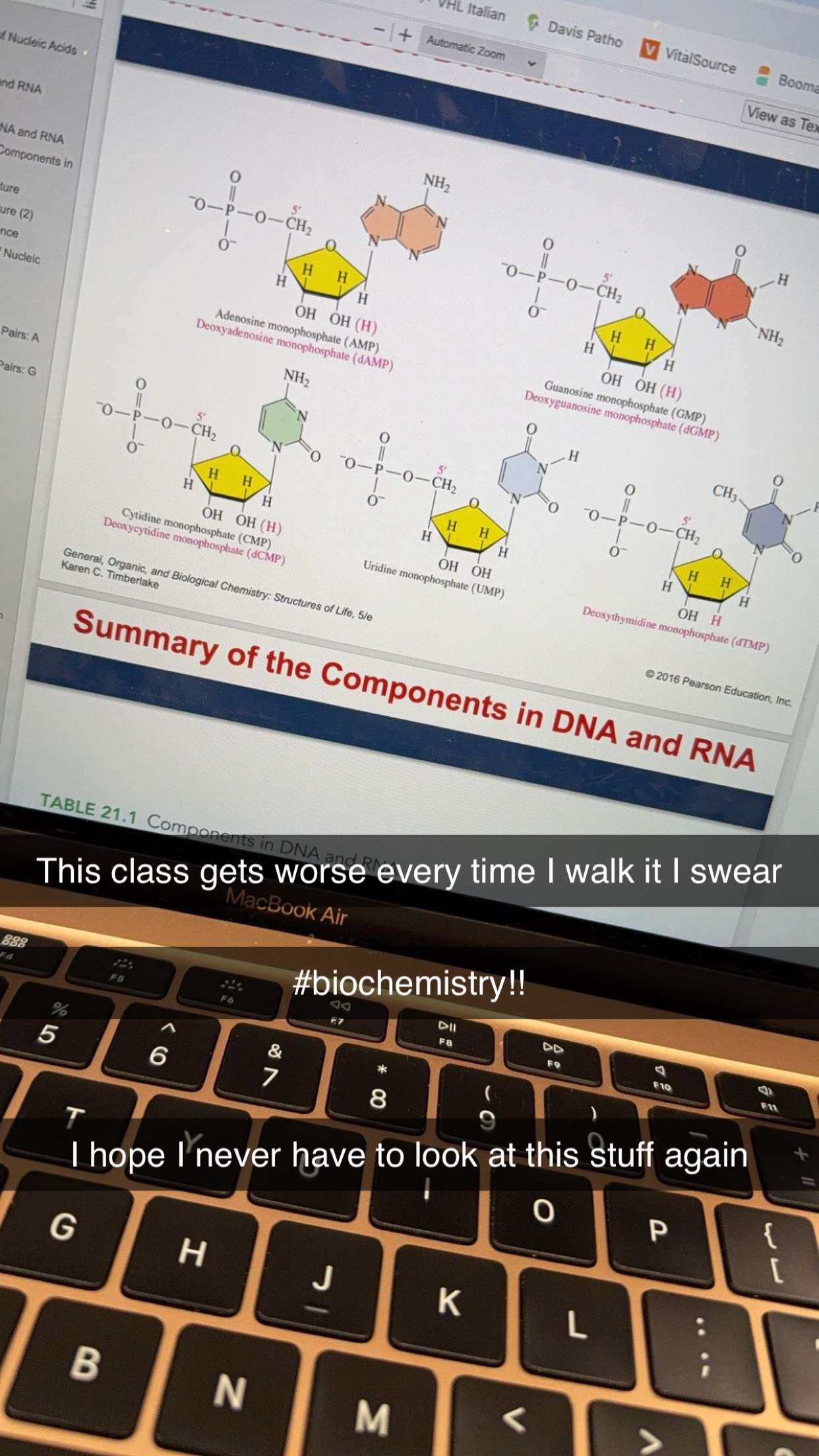 kayleedolisi snapchat image archive image