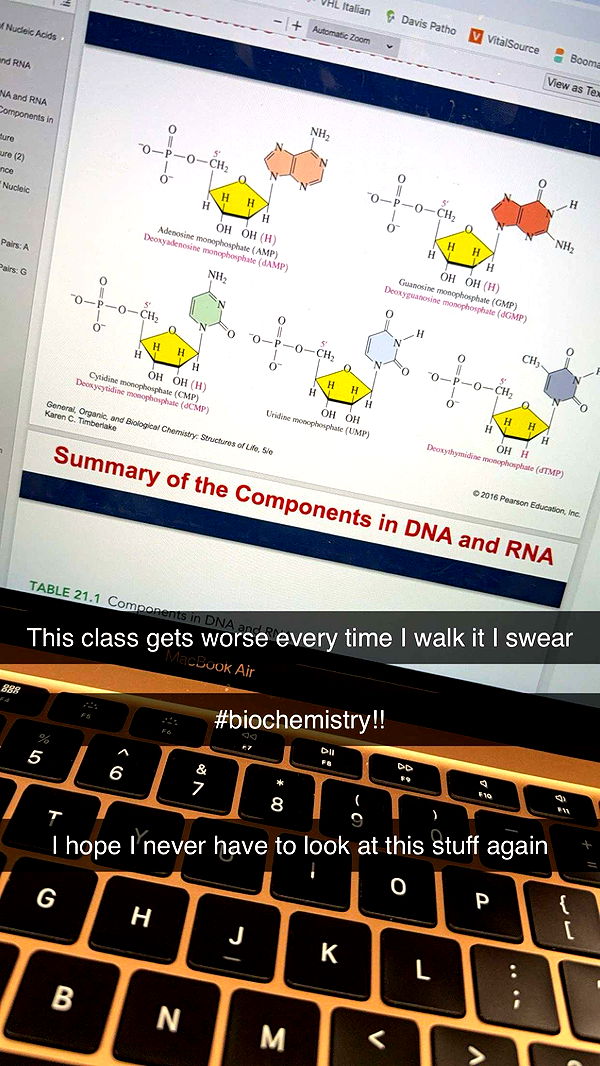 kayleedolisi image ~ Altpins