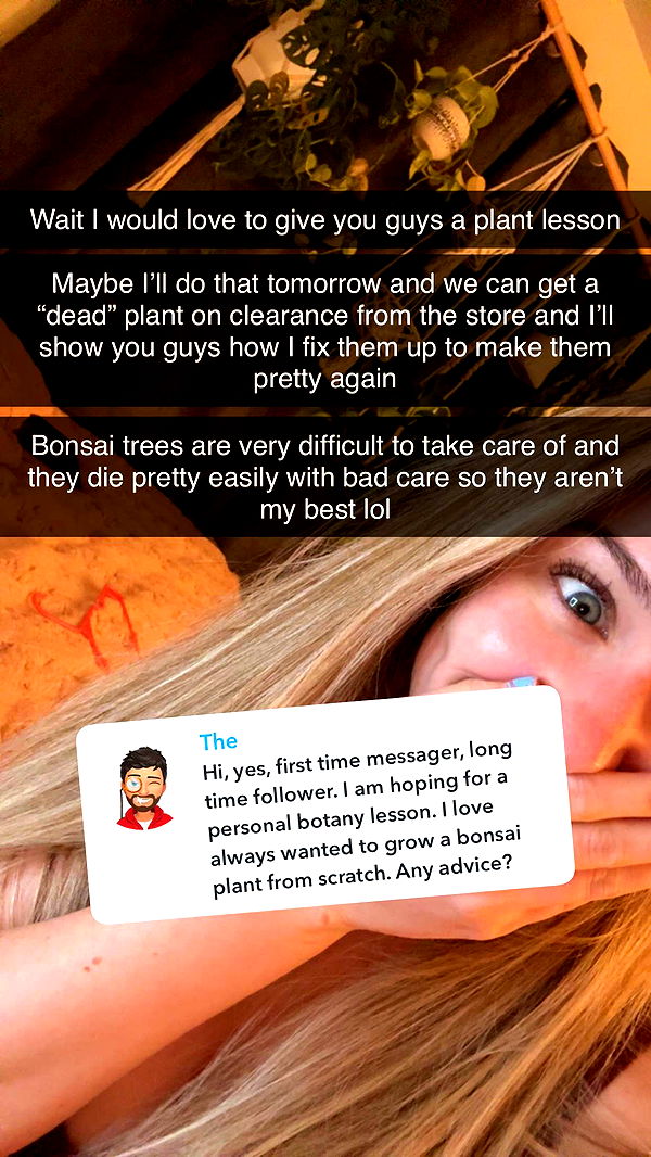 kayleedolisi image ~ Altpins