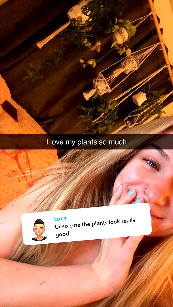 kayleedolisi image ~ Altpins