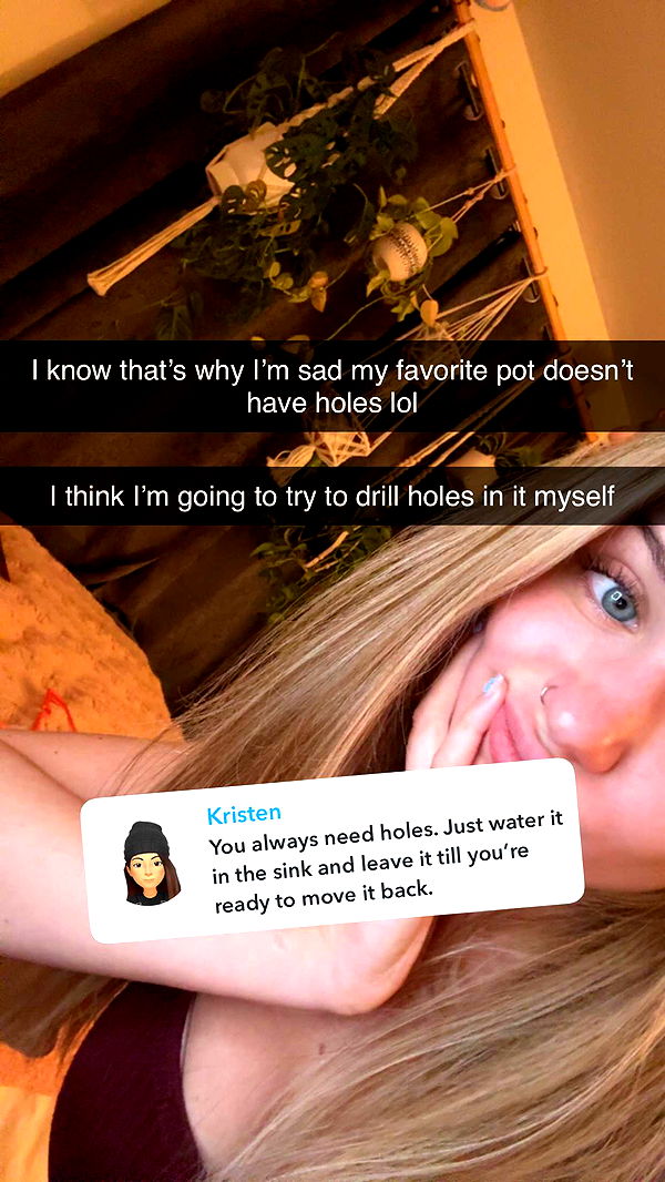 kayleedolisi image ~ Altpins