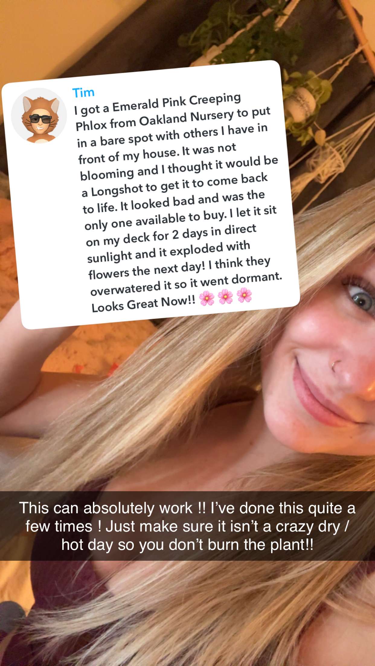 kayleedolisi snapchat image archive image