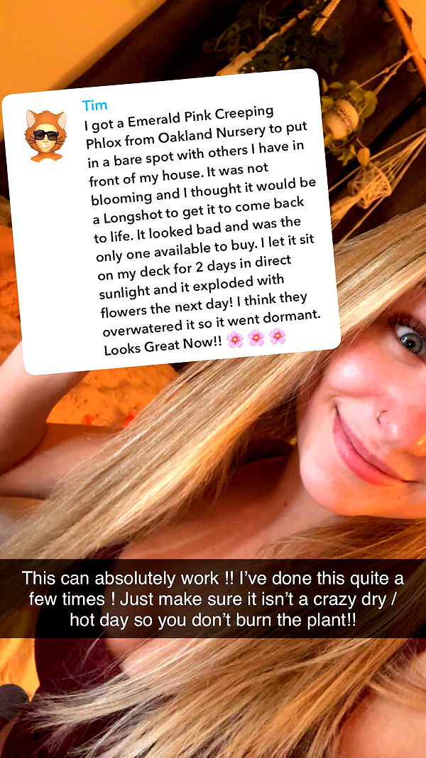 kayleedolisi image ~ Altpins